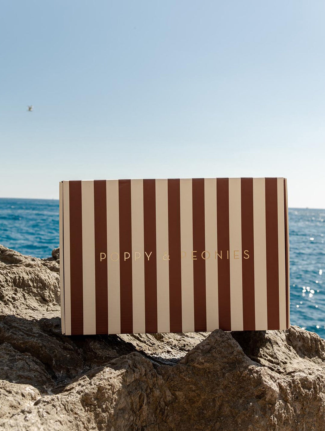 Striped gift box with brown and cream stripes on a rocky surface with ocean in the background